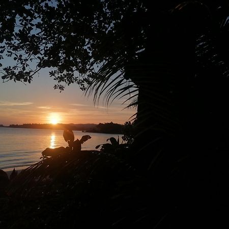 Port Antonio Brian'S Beach House ภายนอก รูปภาพ