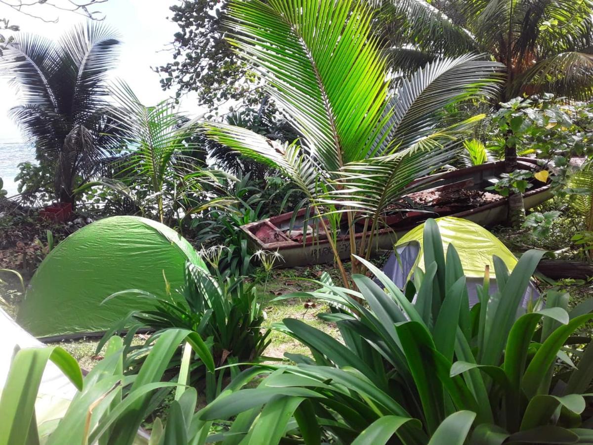 Port Antonio Brian'S Beach House ภายนอก รูปภาพ