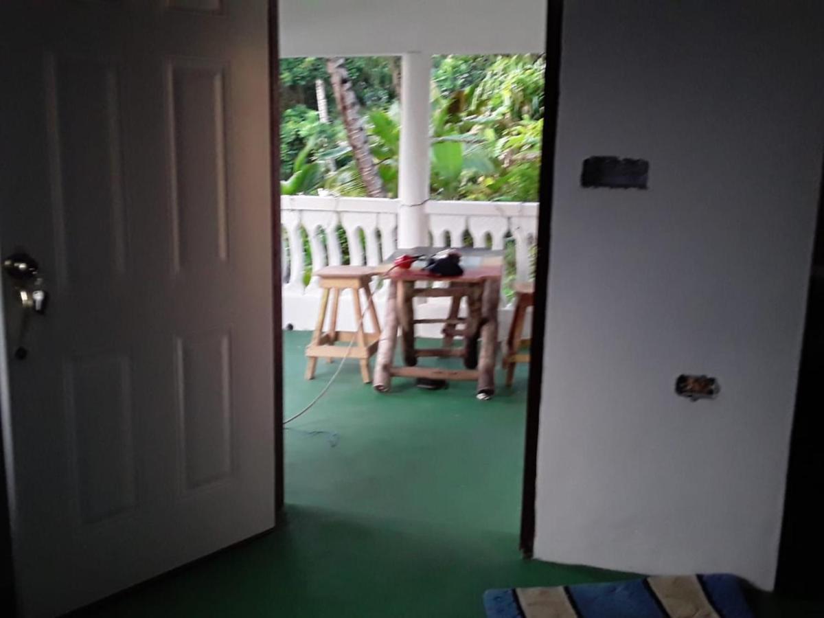 Port Antonio Brian'S Beach House ภายนอก รูปภาพ