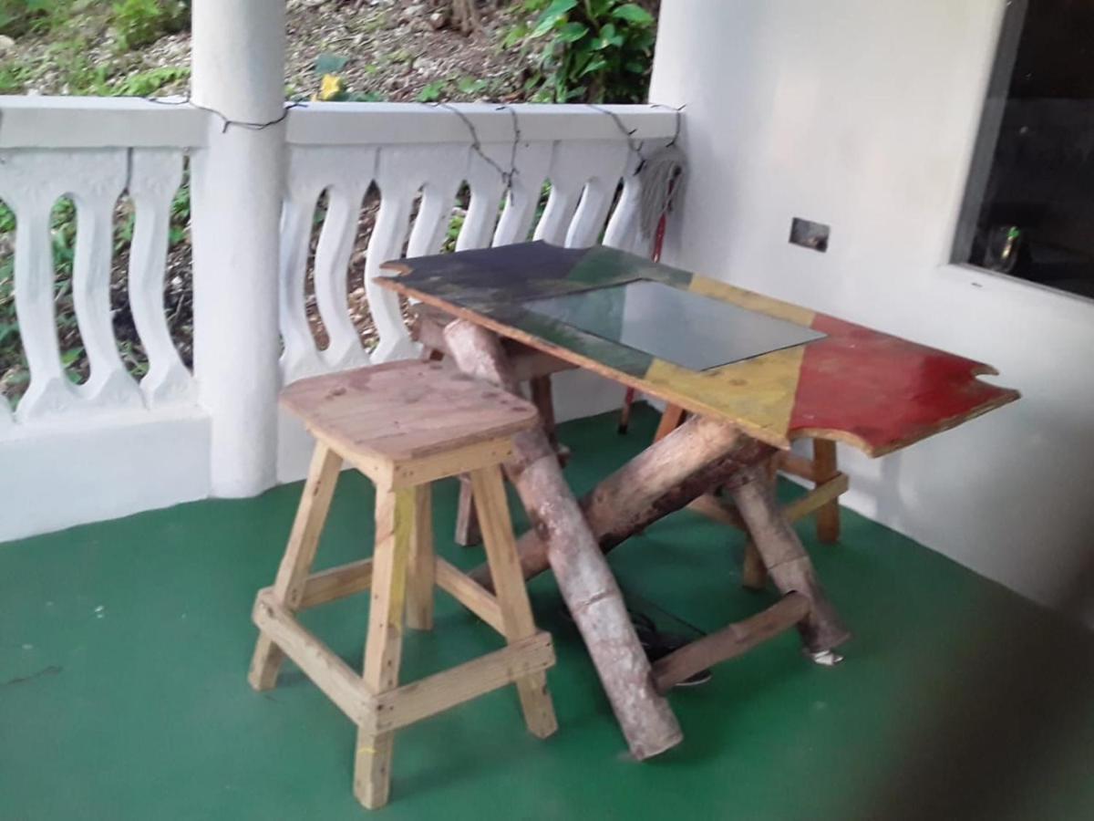 Port Antonio Brian'S Beach House ภายนอก รูปภาพ