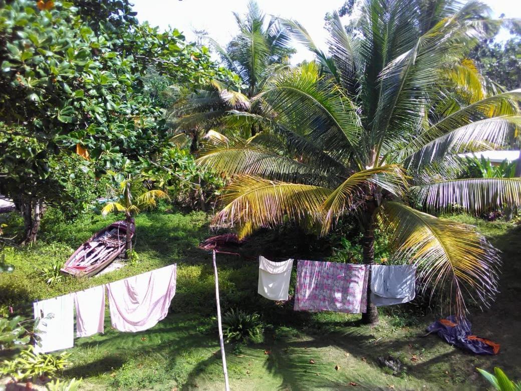 Port Antonio Brian'S Beach House ภายนอก รูปภาพ