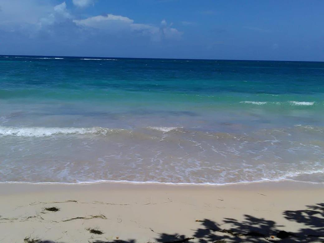Port Antonio Brian'S Beach House ภายนอก รูปภาพ