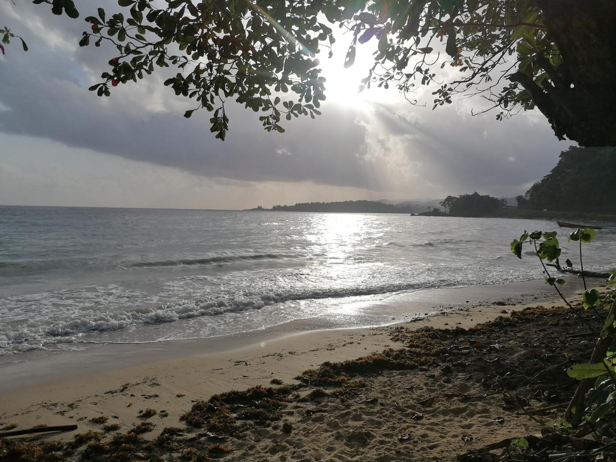 Port Antonio Brian'S Beach House ภายนอก รูปภาพ