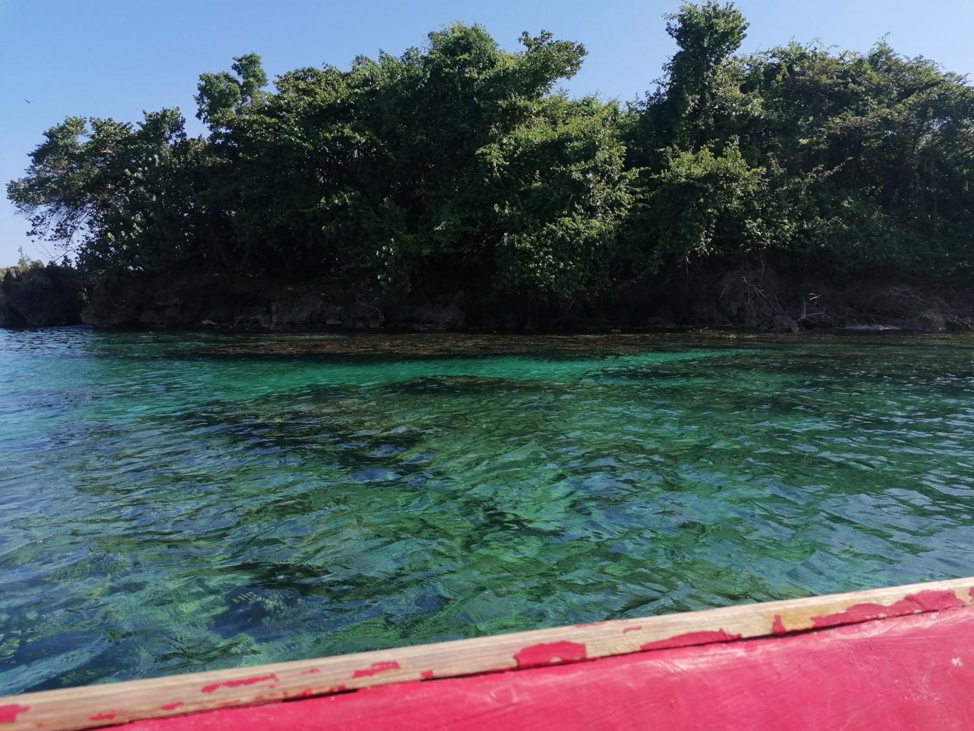 Port Antonio Brian'S Beach House ภายนอก รูปภาพ