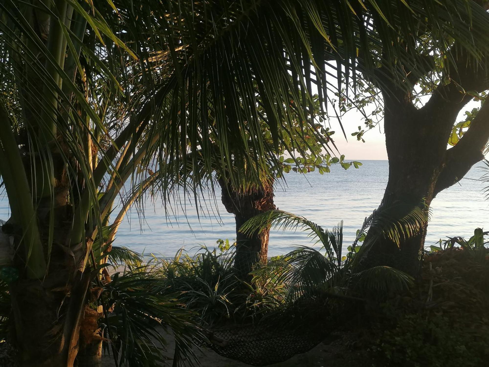 Port Antonio Brian'S Beach House ภายนอก รูปภาพ