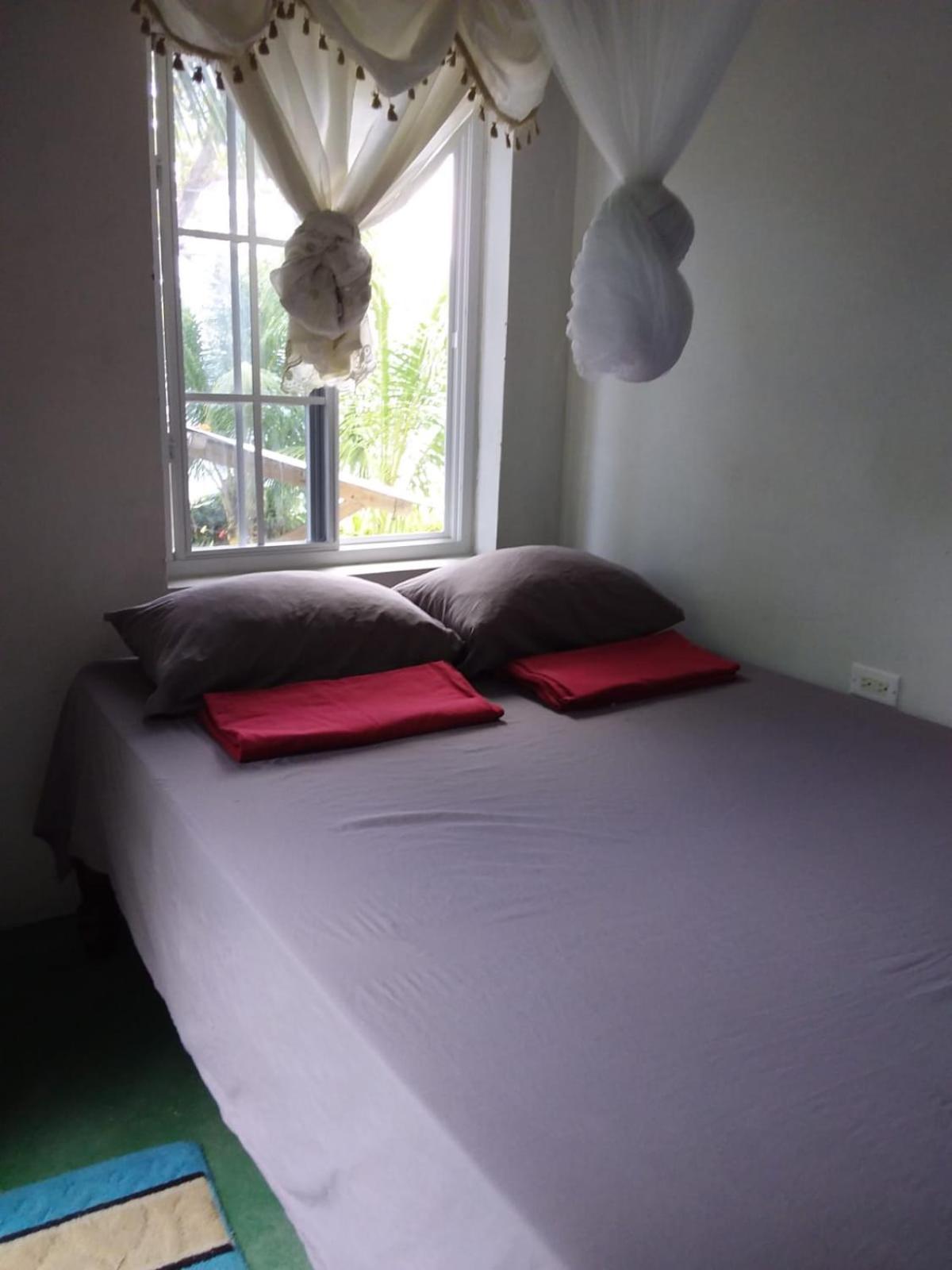 Port Antonio Brian'S Beach House ภายนอก รูปภาพ