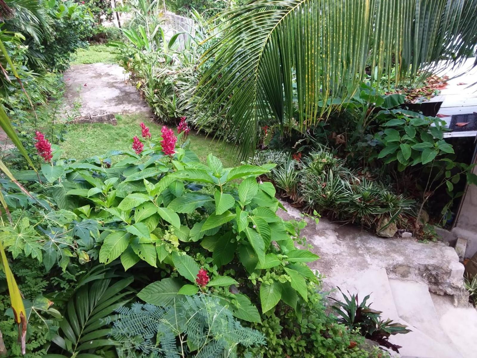 Port Antonio Brian'S Beach House ภายนอก รูปภาพ