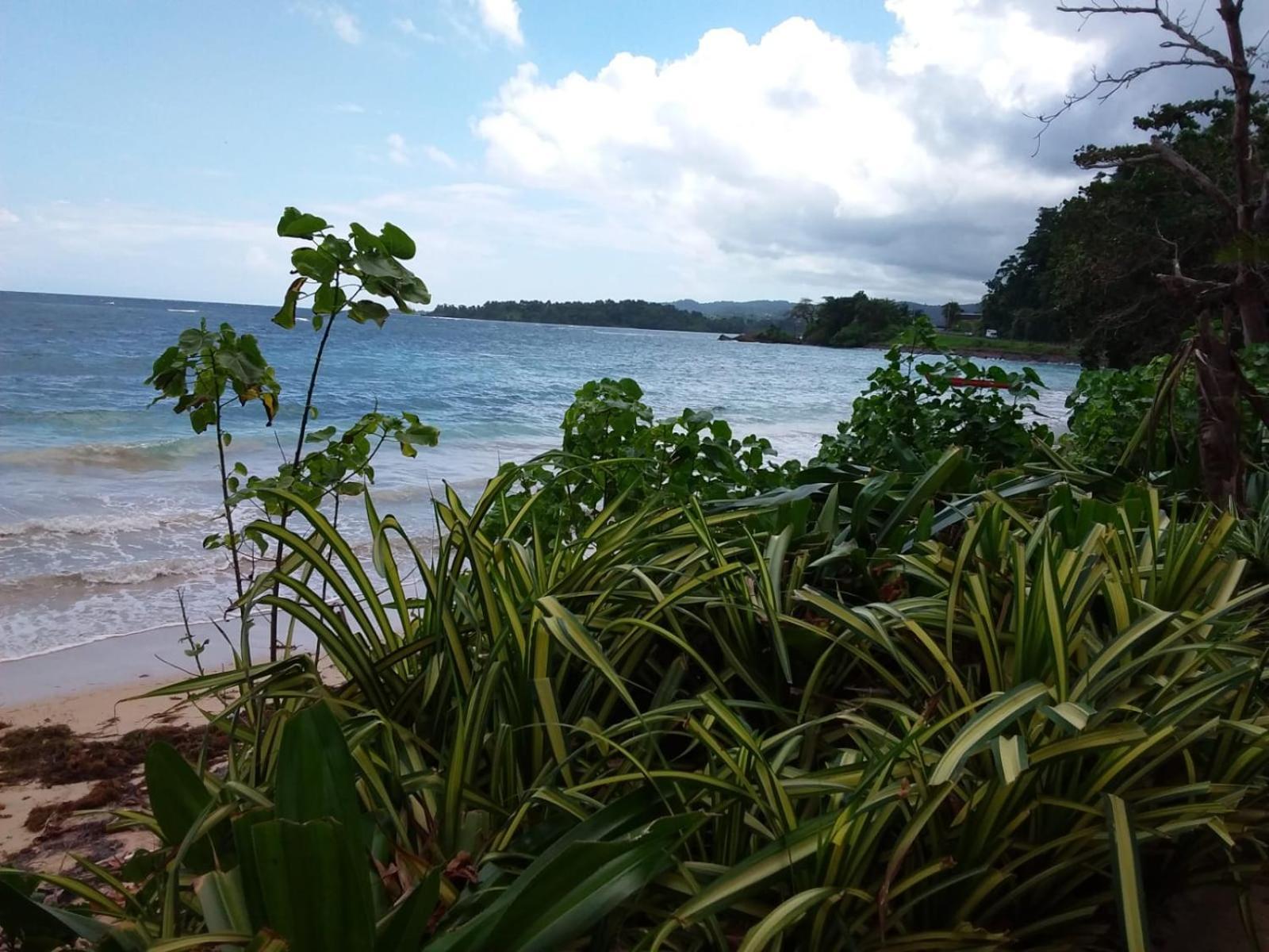 Port Antonio Brian'S Beach House ภายนอก รูปภาพ