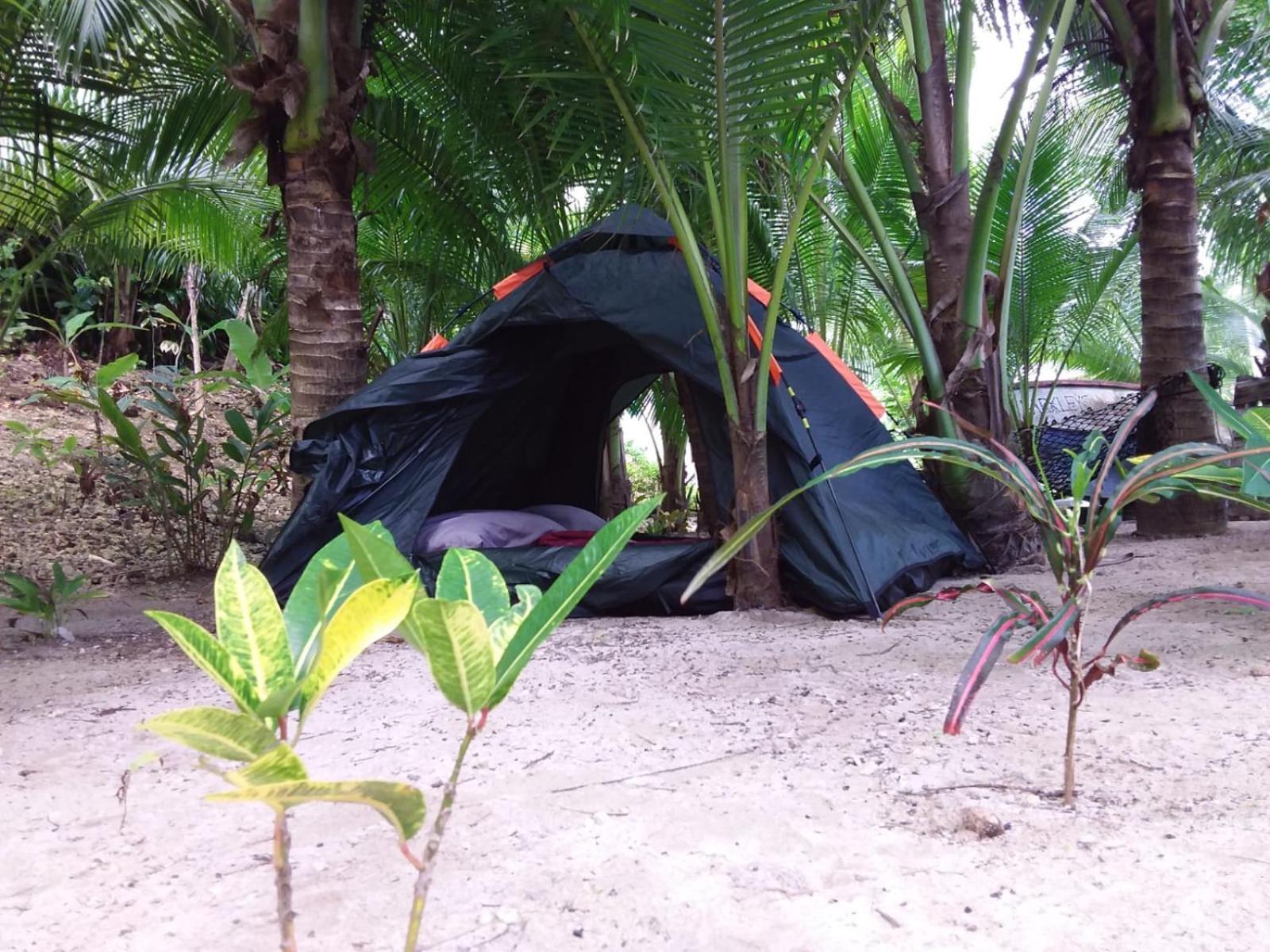 Port Antonio Brian'S Beach House ภายนอก รูปภาพ