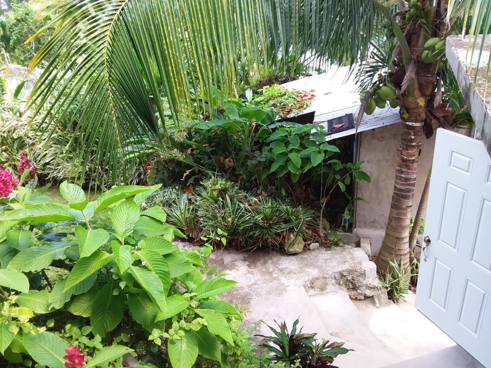 Port Antonio Brian'S Beach House ภายนอก รูปภาพ